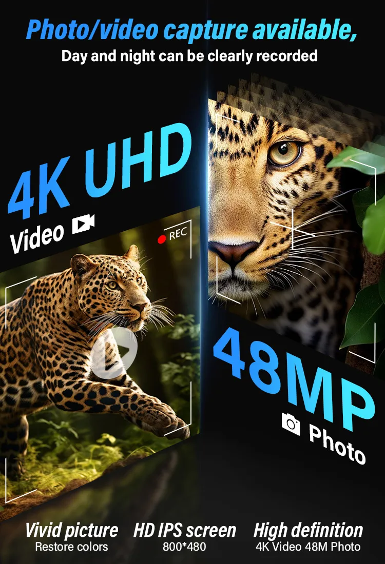 Listing-3.webp