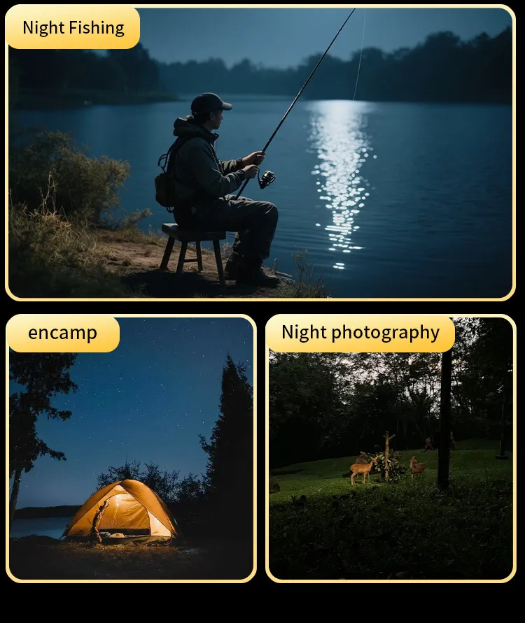 Listing-16.webp